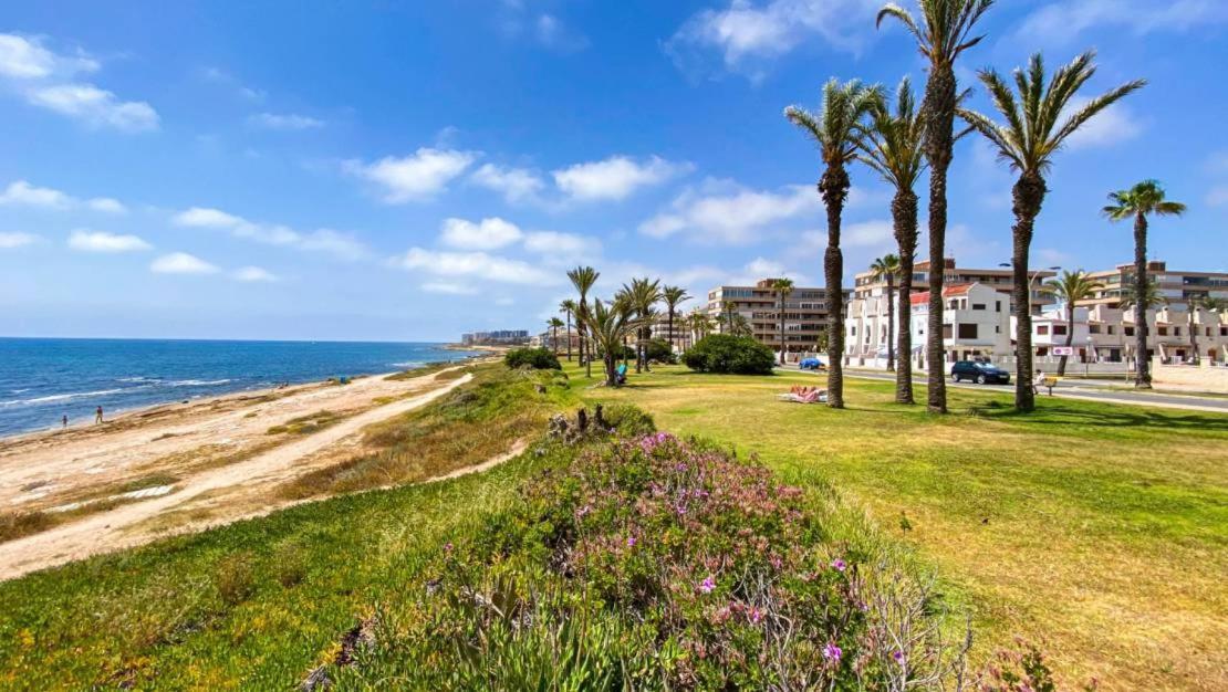 Apartamento Villa Amalia Torrevieja Dış mekan fotoğraf