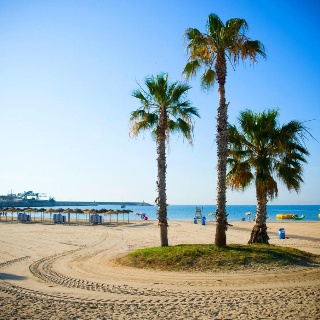 Apartamento Villa Amalia Torrevieja Dış mekan fotoğraf