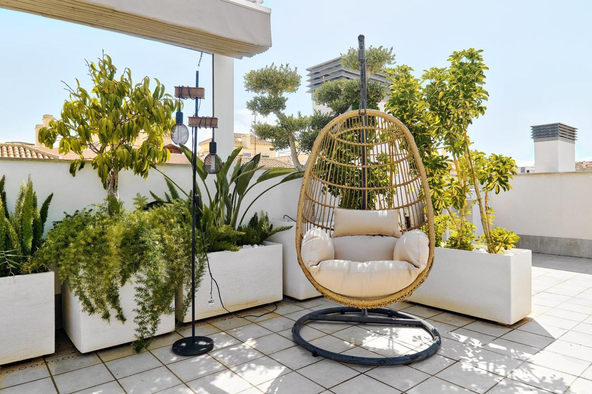 Apartamento Villa Amalia Torrevieja Dış mekan fotoğraf