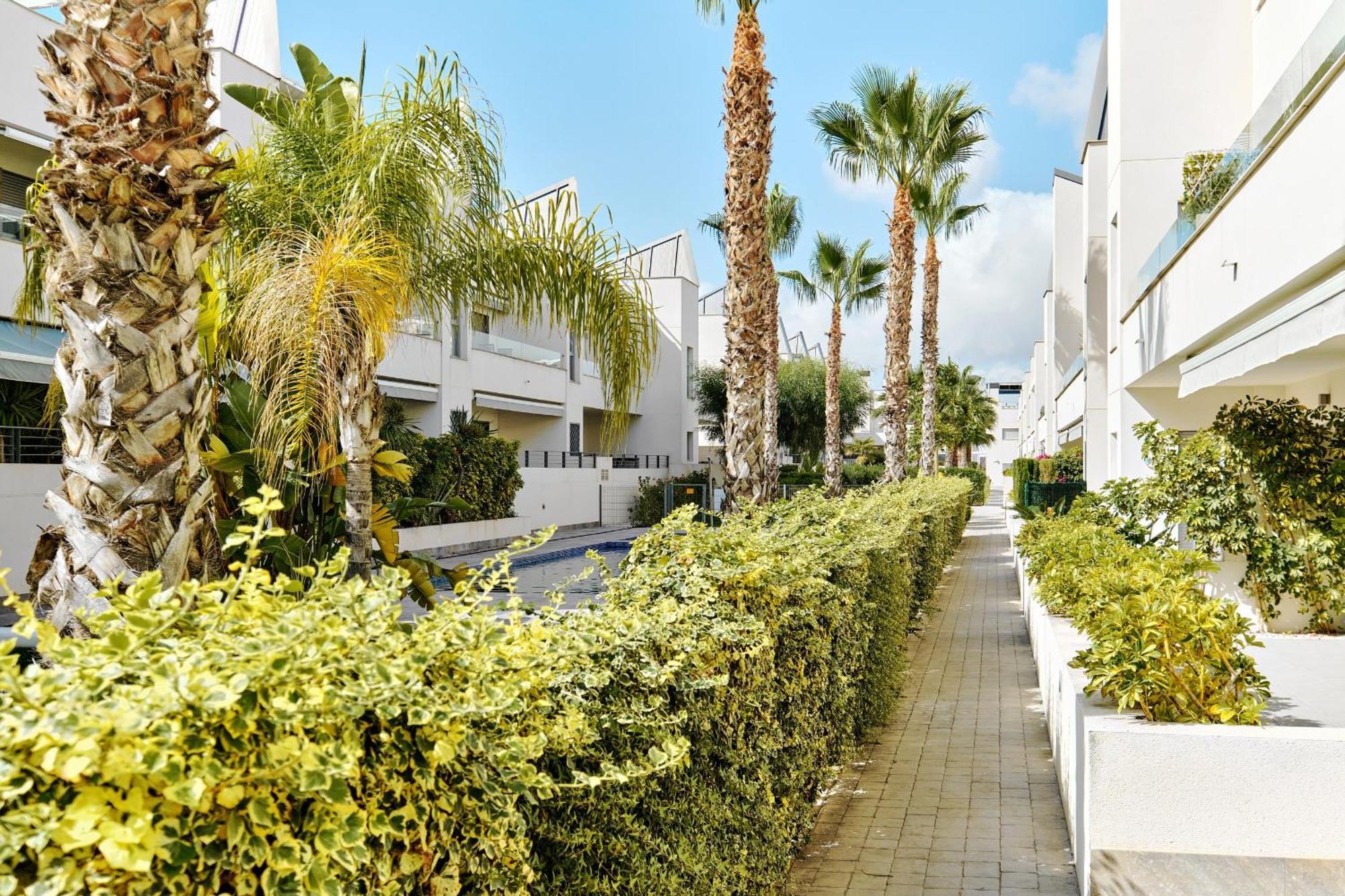 Apartamento Villa Amalia Torrevieja Dış mekan fotoğraf